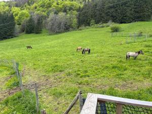 Cabane Insolite de la Semine
