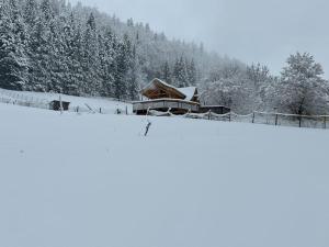 Cabane Insolite de la Semine