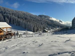 Cabane Insolite de la Semine