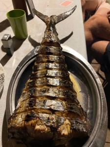 Fakriba tour camping and travel