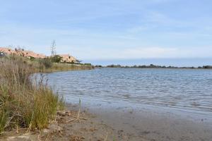 Maison Studio mezzanine - Gruissan Ayguades AY030-203