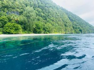 Fakriba tour camping and travel