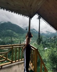 jibhi mountain retreat 2 - Kāndi