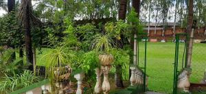 CHÁCARA para Família