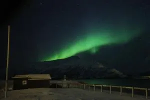 Cozy cabin by the sea - Indre Kårvik