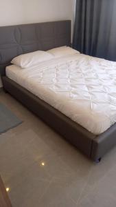 valley heights apt B807 LAVINGTON