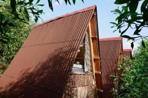 Pet Fan Home - Nguyen Shack