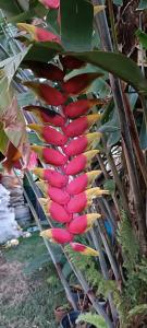 Casa de Campo , Lagoa Nova - Linhares ES