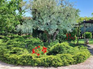 Villas Soleil de Provence : photos des chambres
