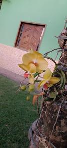 Casa de Campo , Lagoa Nova - Linhares ES