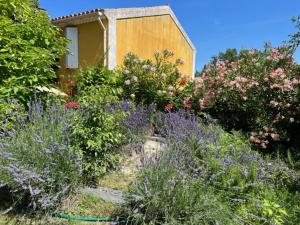 Maisons de vacances Mas de silvacane : photos des chambres