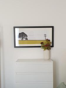 A haven in the centre of Glastonbury