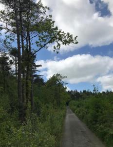 Flying Scotsman Unique Carriage Pet Friendly! Lazy Spa can be available upon request with additional cost of 40