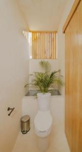 La Punta Beach Front Oasis Starlink