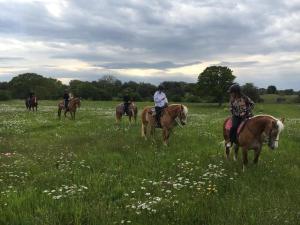 Trulli relax Locorotondo