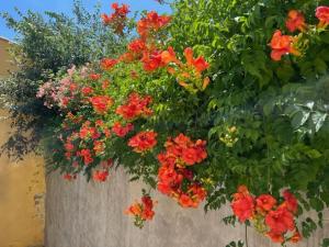 Maisons de vacances Mas de silvacane : photos des chambres