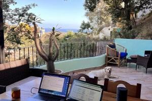 Stunning 2BR, with outdoor living space and ocean view