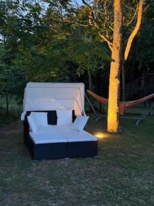 Belle Lauragaise ensoleillée