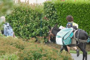 Maisons de vacances Gite 2 Le Logis des grenouilles : photos des chambres