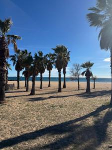 Appartement Port-Fréjus