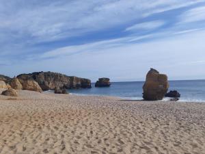 Apartamento Perfect Holidays