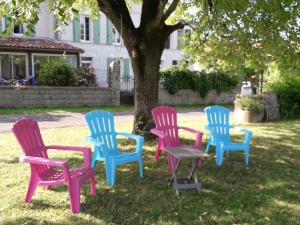 Appartements Petit gite La vigne est belle - 2 etoiles- Sud Charente : photos des chambres