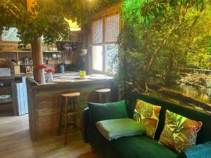 Maisons d'hotes Les Chambres de Paulette a Theme LA JUNGLE ROOM : photos des chambres