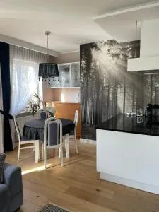 Apartament La Bella klimatyzacja, garaż podziemny - Rosochaty Róg