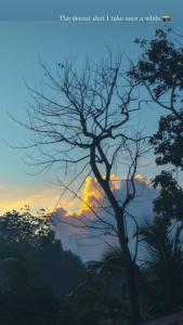 Karapitiya Breeze