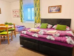 Pension Lenka 1 - Horní Polubný