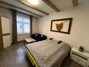 Historical apartments V18 - 科希策