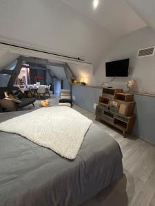 Appartements Studio centre ville : photos des chambres