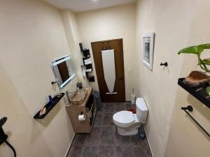 Entire Studio Rental in Ixtapa