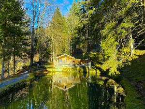 SwissHut Idyllic Farm Cabin - Chalet Grabenmuhle 2
