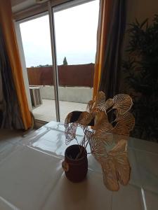 Appartements Grand T2 avec terrasse : photos des chambres