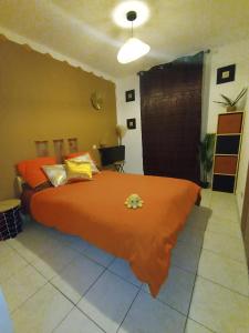 Appartements Grand T2 avec terrasse : photos des chambres