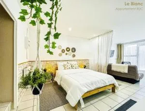 Le Mobile de Coulmiers - 马尔萨克