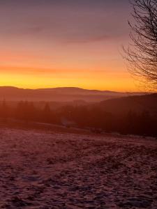 Gościniec Śliwkowy Sad