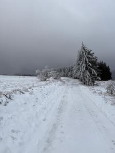 Gościniec Śliwkowy Sad