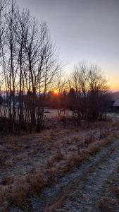 Gościniec Śliwkowy Sad