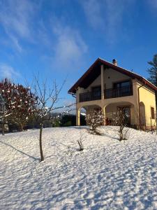 Holiday house and apartments Vale