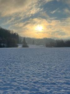 Holiday house and apartments Vale