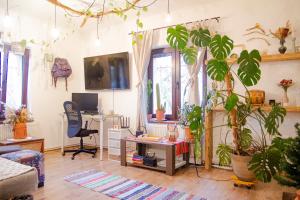 Lupeni Alley cozy central apartment&private garden