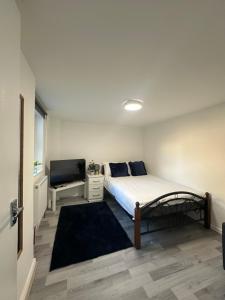 luxury 2 bedroom apartment in central London