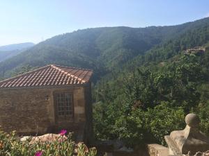 Petite terrasse en Cévennes