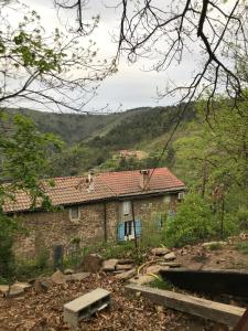 Petite terrasse en Cévennes