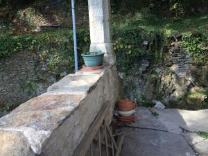 Appartements Petite terrasse en Cevennes : photos des chambres