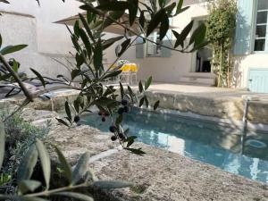 La Provence centre ville, piscine, jardin, terrasse