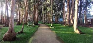 Espectacular departamento en Algarrobo