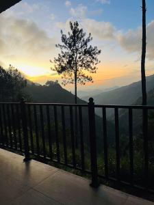 Belmount Ella